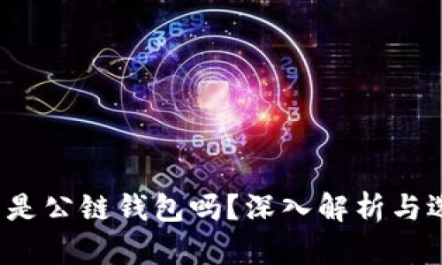 t p钱包是公链钱包吗？深入解析与选择指南