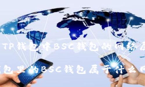理解TP钱包中BSC钱包的网络属性

TP钱包里的BSC钱包属于什么网络？