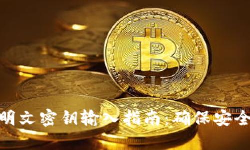TP钱包明文密钥输入指南：确保安全和便捷